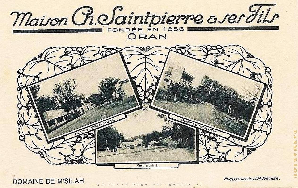 Oran Pub vins 113.jpg
